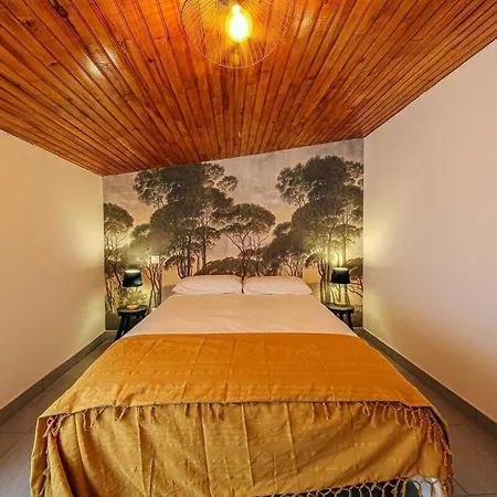 La Petite Maison De Charme - Calme & Confort A * Graulhet