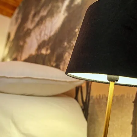 La Petite Maison De Charme - Calme & Confort A Appartement Graulhet