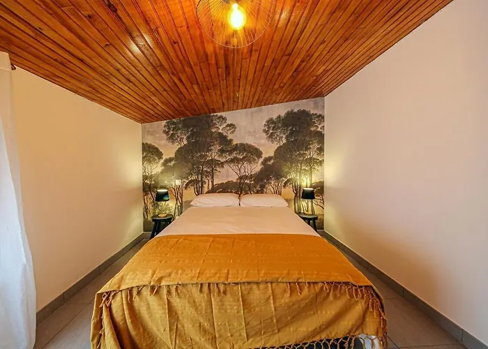 La Petite Maison de Charme - Calme&Confort à Graulhet * Graulhet