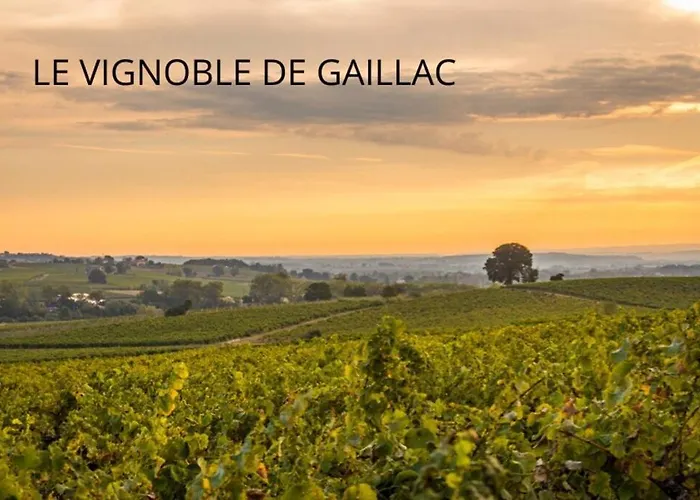 La Petite Maison de Charme - Calme&Confort à Graulhet Appartamento Graulhet